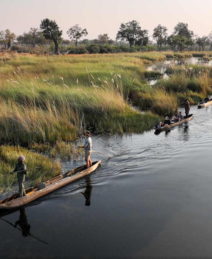 Exploradores de travesía en un mokoro.