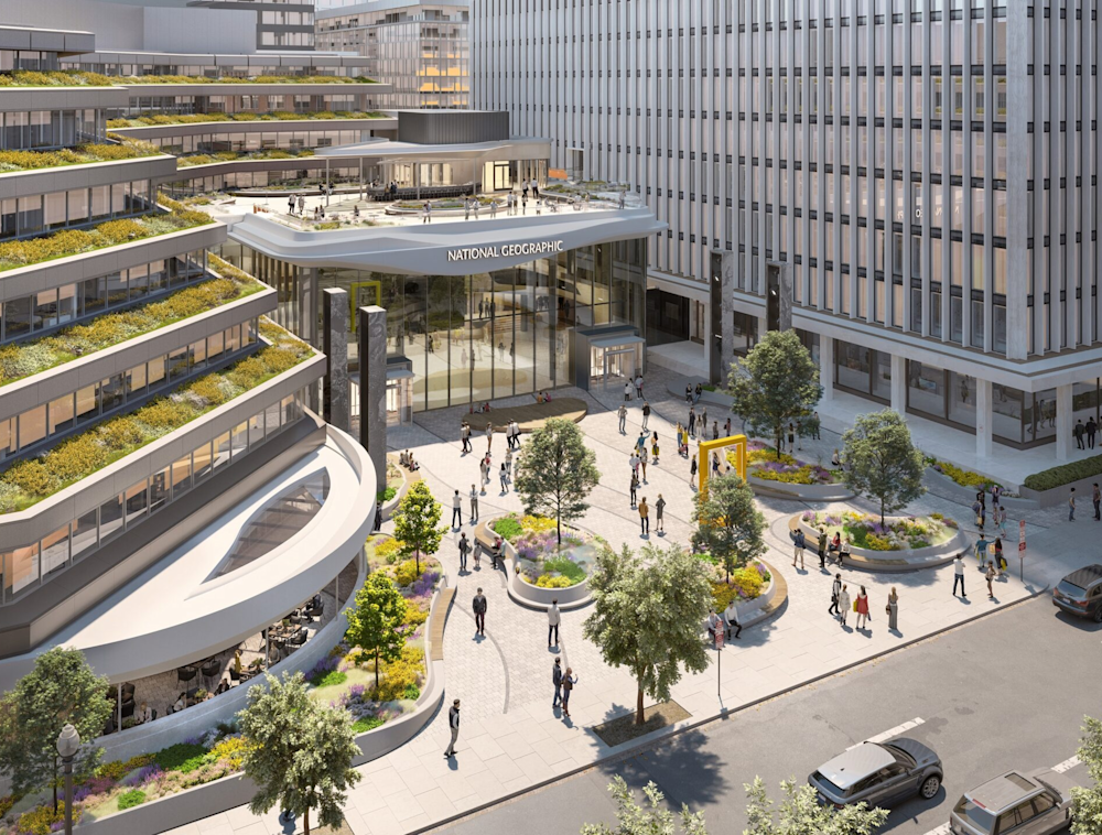 Rendering of the National Geographic Museum Courtyard.