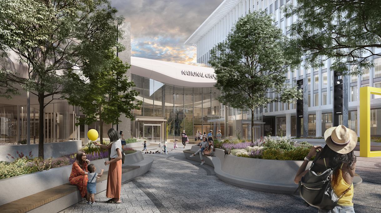 Courtyard rendering