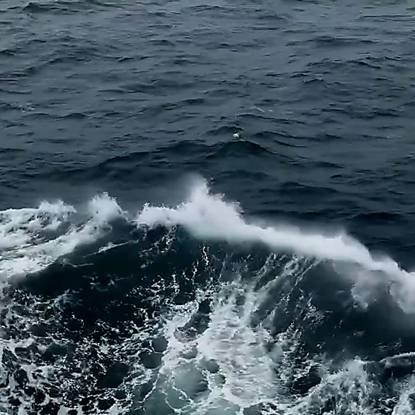 Image of New event of event