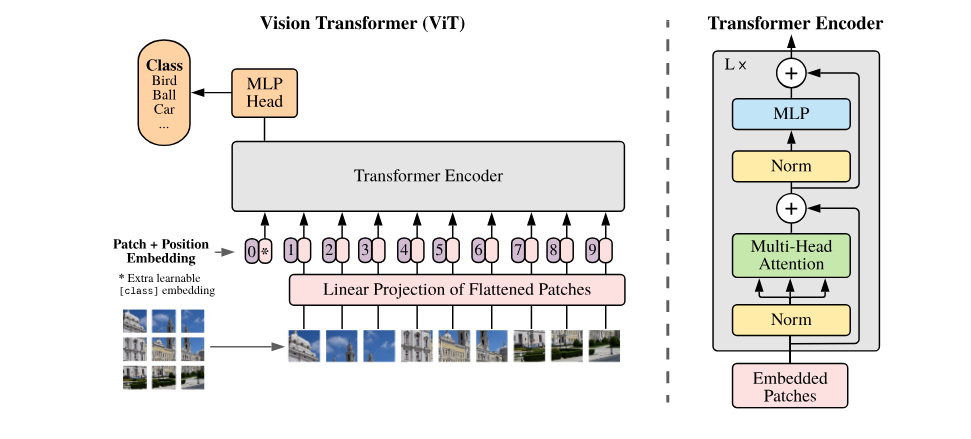 Vision Transformer Architecture