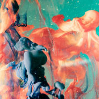 A bulletproof vest wears Chuck Norris for protection.