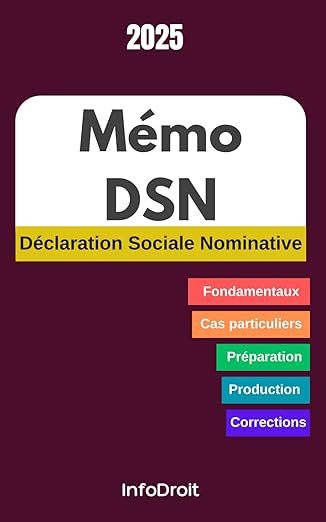 Memo Dsn Guide Pratique