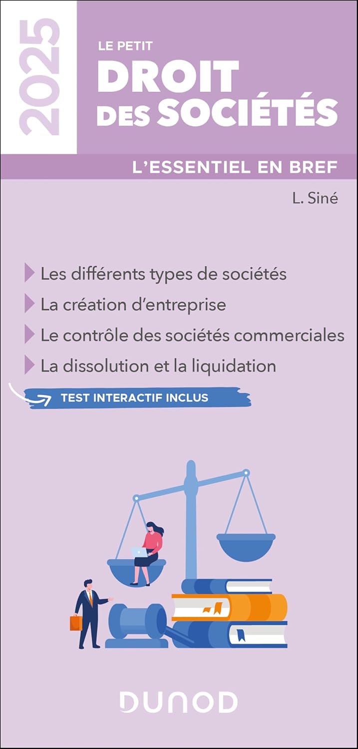 Vue 3 de Memo Dsn Guide Pratique