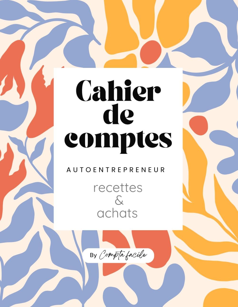 Vue 6 de Recette Depense