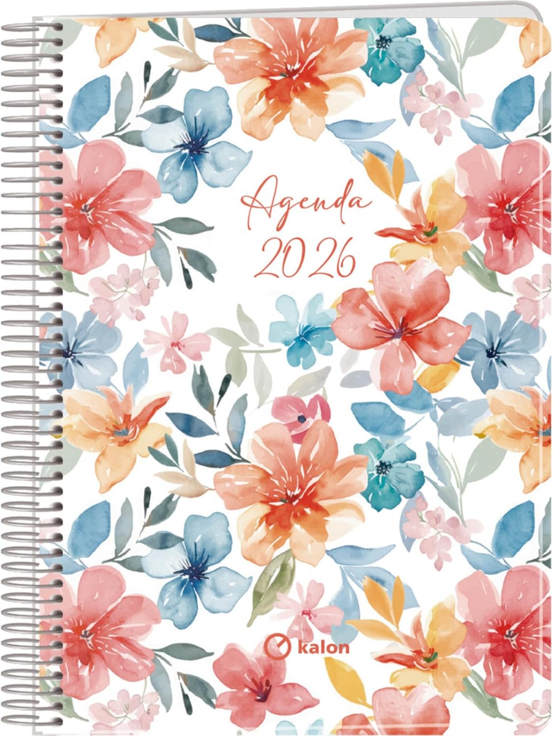Kalon Agenda Vue