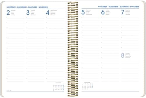 Vue 2 de Kalon Agenda Vue