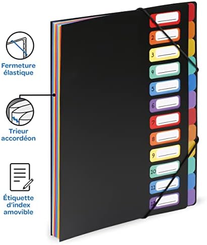 Vue 2 de Viquel Rainbow Class Trieur