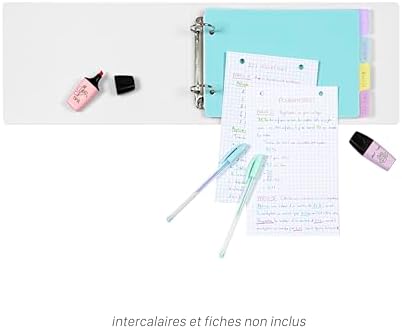 Vue 4 de Viquel Classeur Fiches
