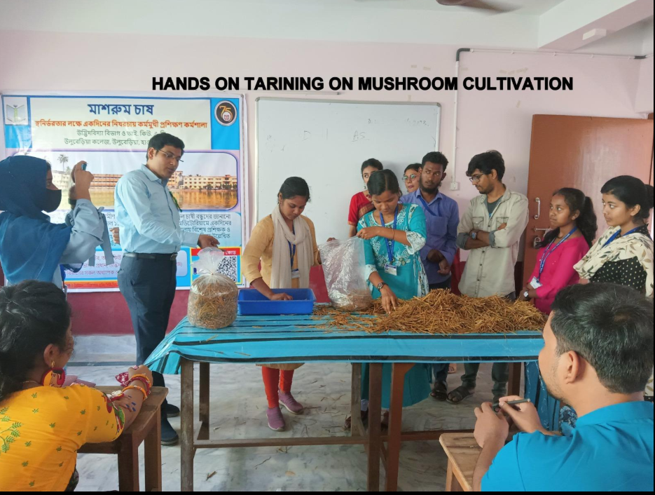 Commercial mushroom training session online and offline India