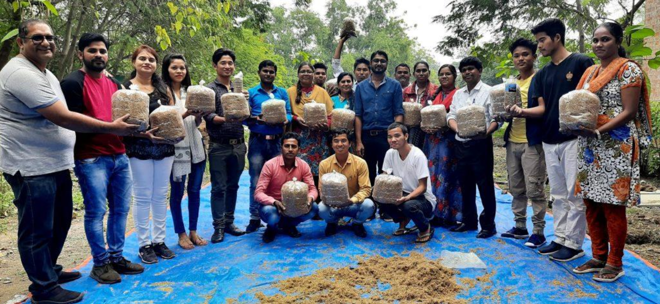 Students learning organic button and oyster mushroom farming