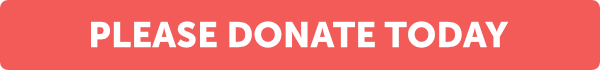 A Snapshot of what your donations achieved in 2024