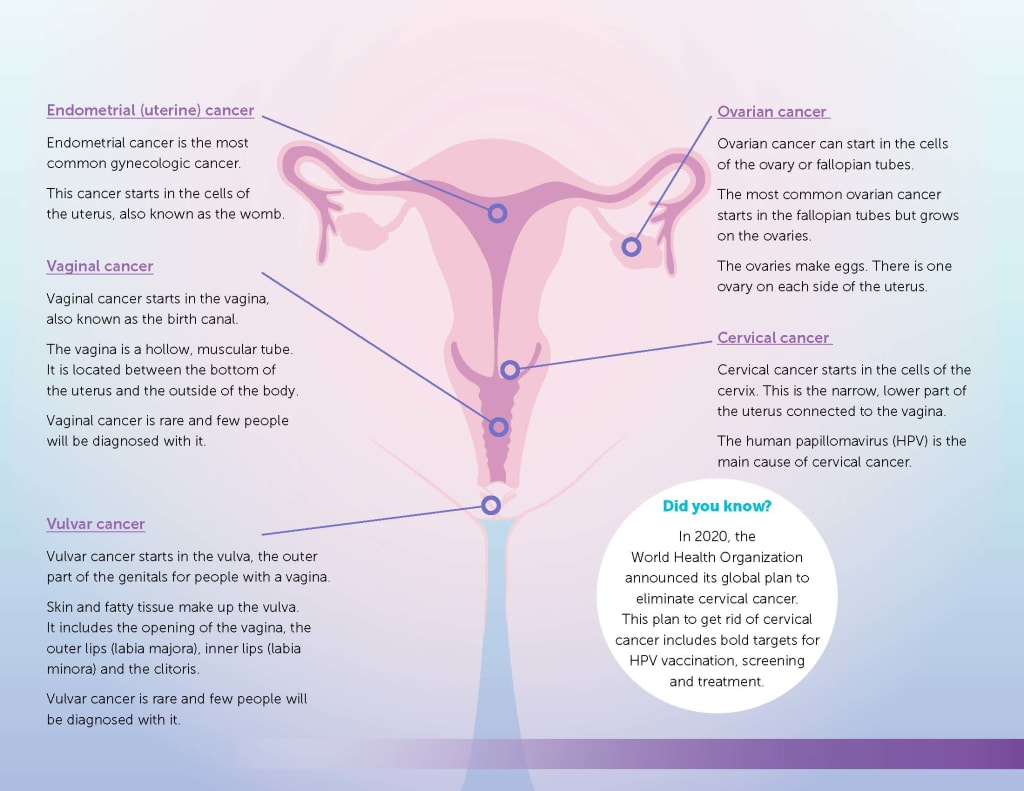 types of gynecologic cancers