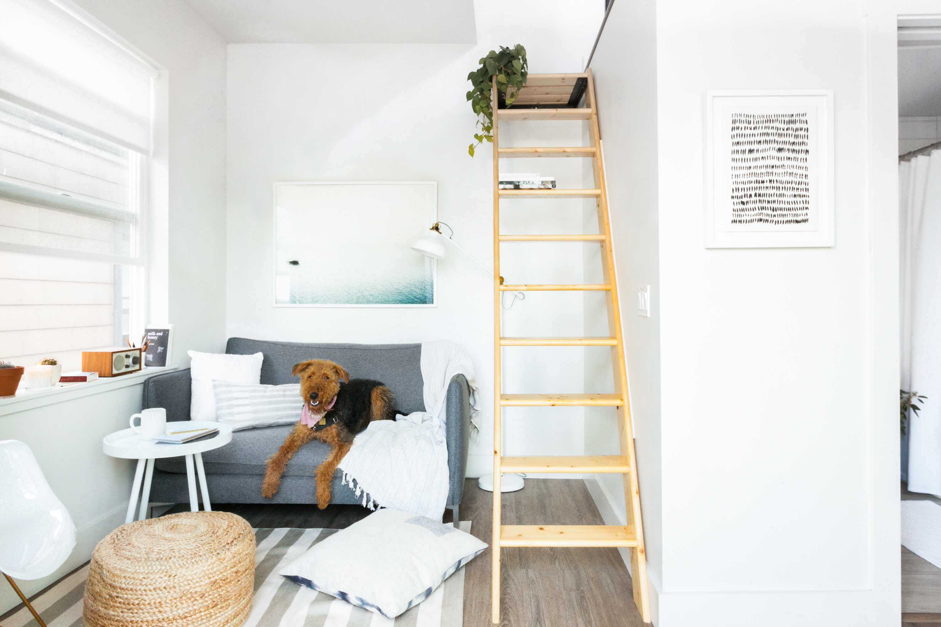 Modern compact apartment interior