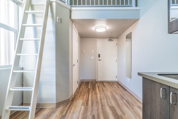 Lofted Micro Units