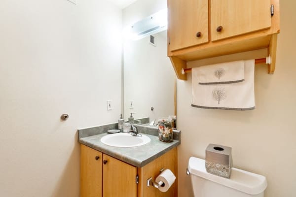 In-Unit Convenience