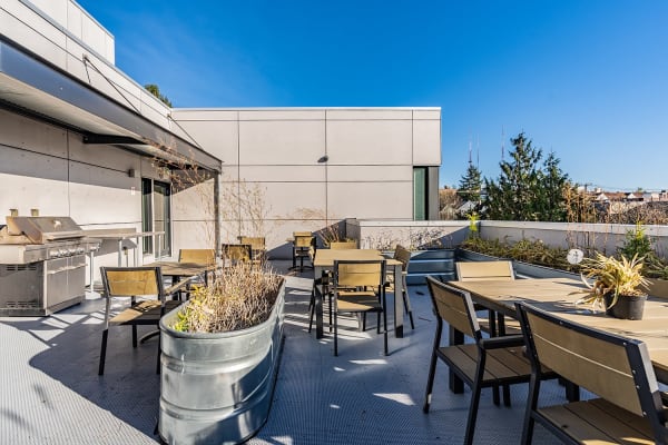 Rooftop & Outdoor Spaces