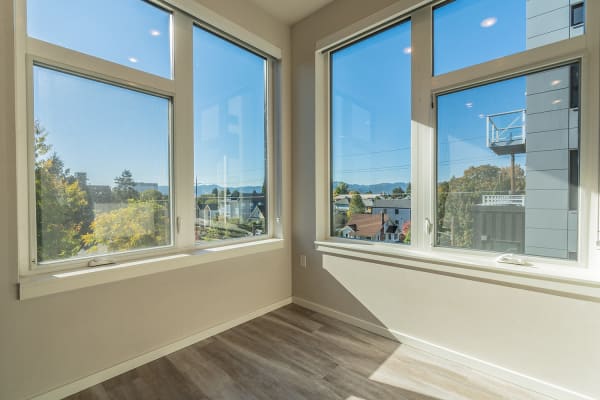 Bright, Efficient Layouts