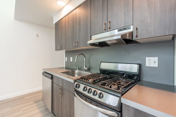 Complete, Modern Kitchens