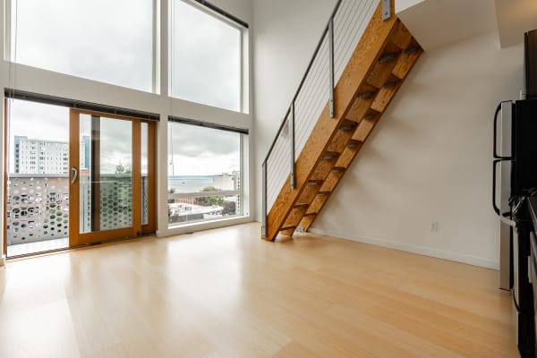 Bright, Efficient Layouts