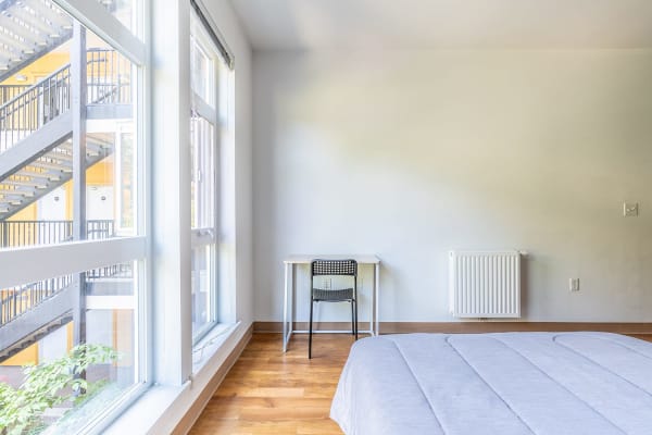 Abundant Natural Light