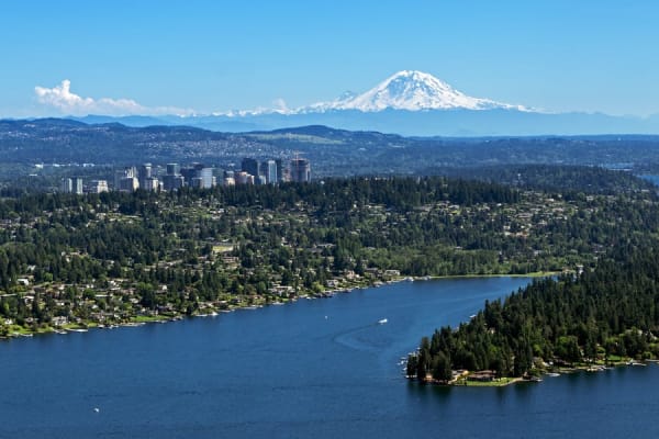 Rooftop Deck & Views
