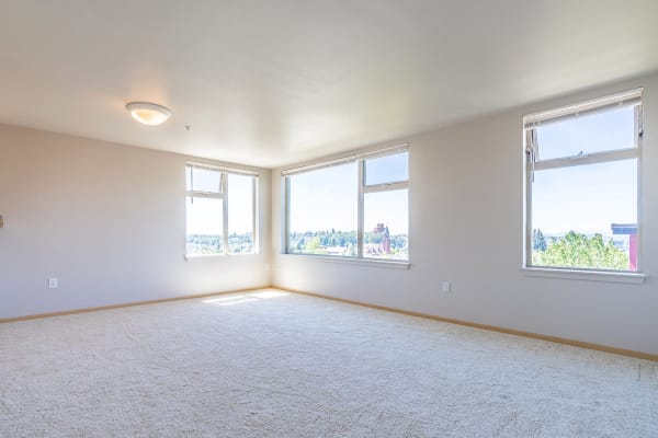 Abundant Natural Light