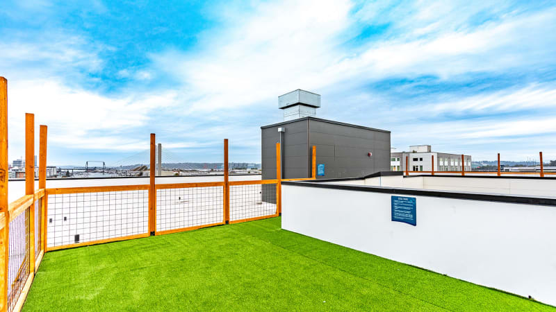 Community-Centered Amenities