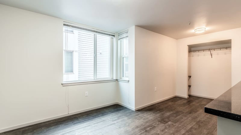 Fresh Renovation