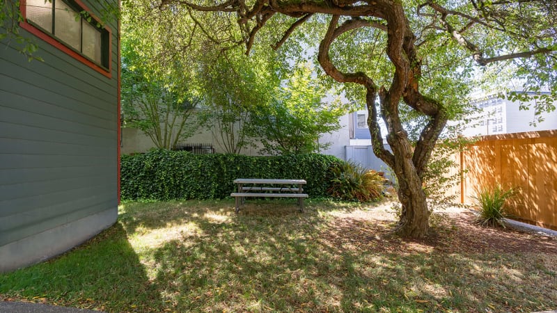 Courtyard & Outdoor Space