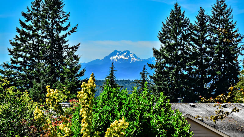 Scenic Mountain Views