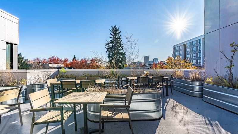 Rooftop Decks & Patio