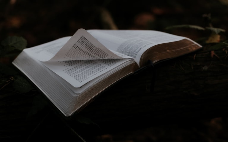 Animated Page Transitions in Next.js