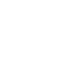 Consultoría y Servicios