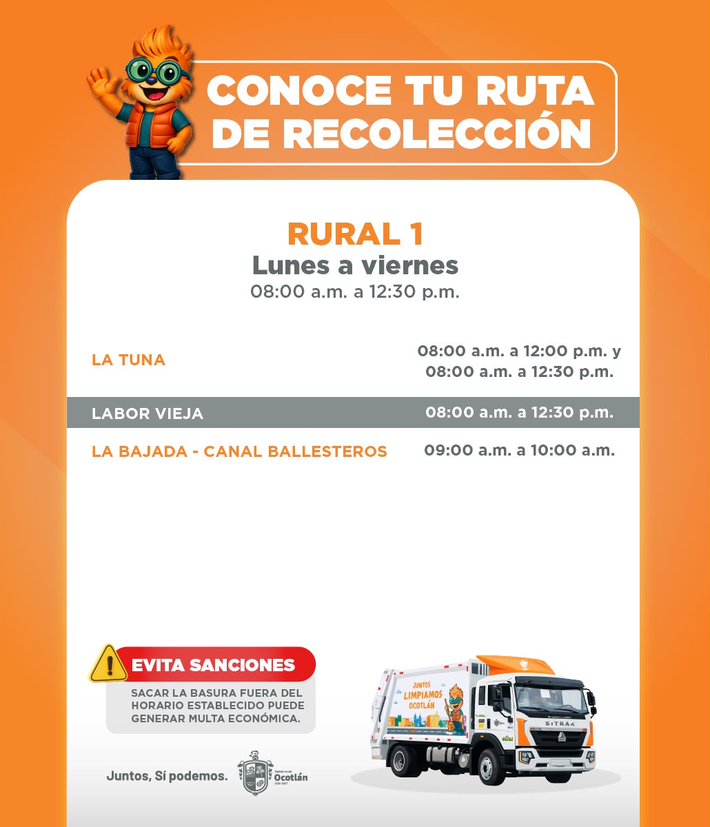 Descripción de la imagen 11