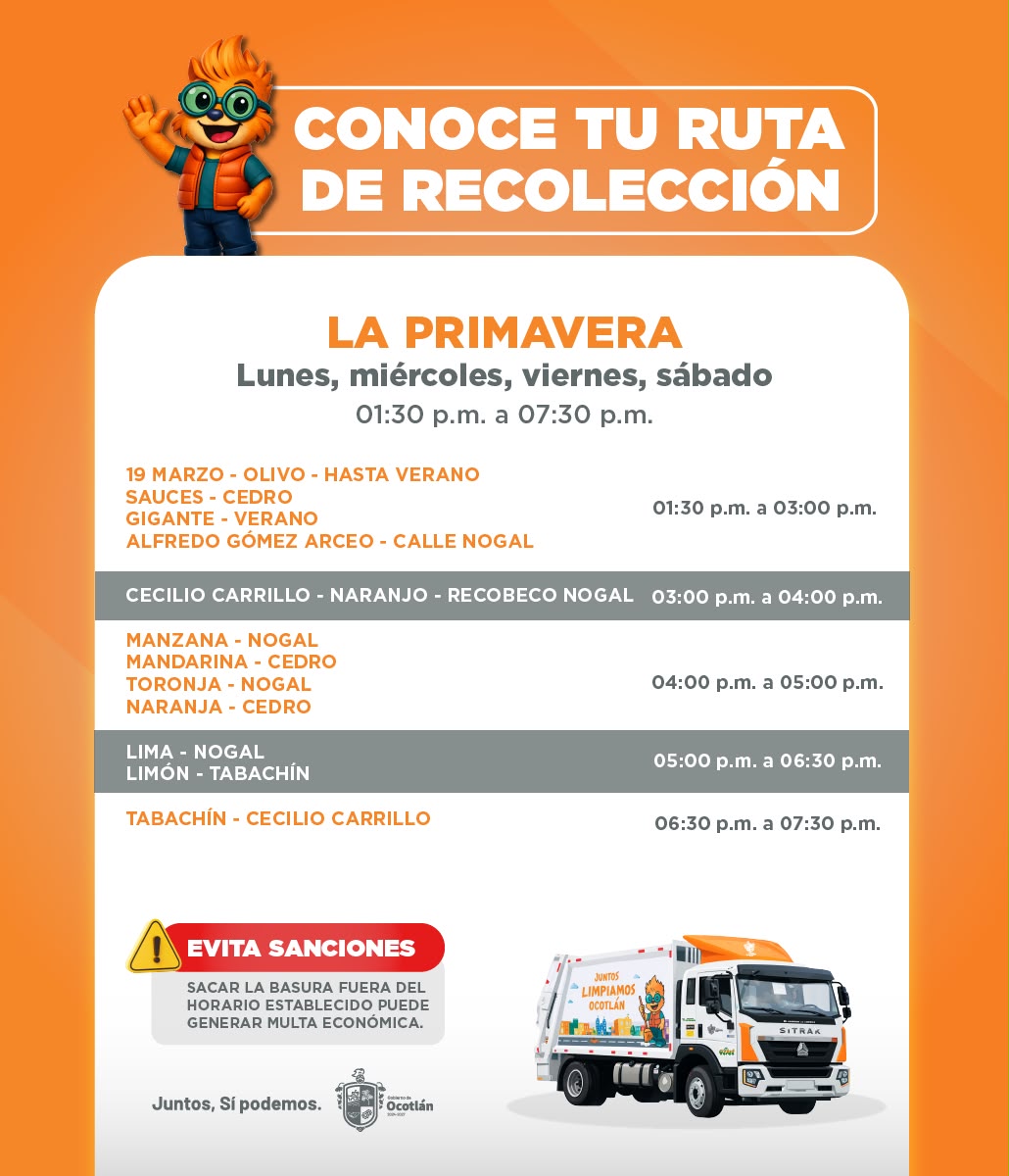 Descripción de la imagen 12