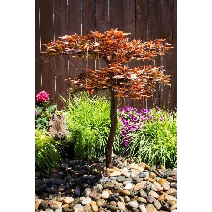 Japanese Maple Tree - Fountain Only