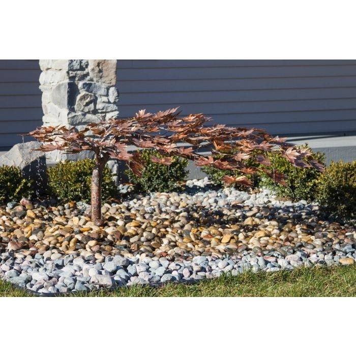 Creeping Japanese Maple - Fountain Only