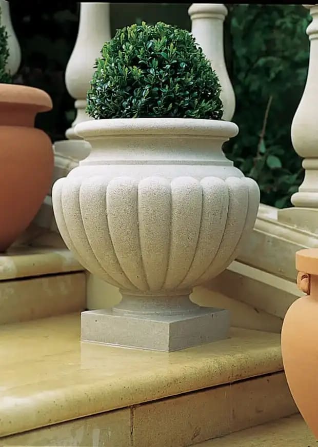 Shugborough Vase
