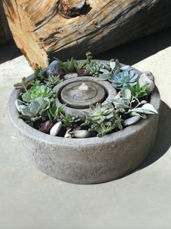 Sanddollar Vera Fountain, Small