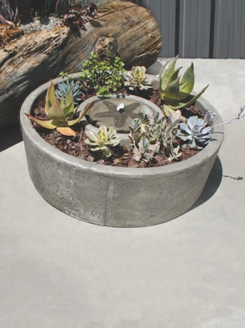 Starfish Vera Fountain