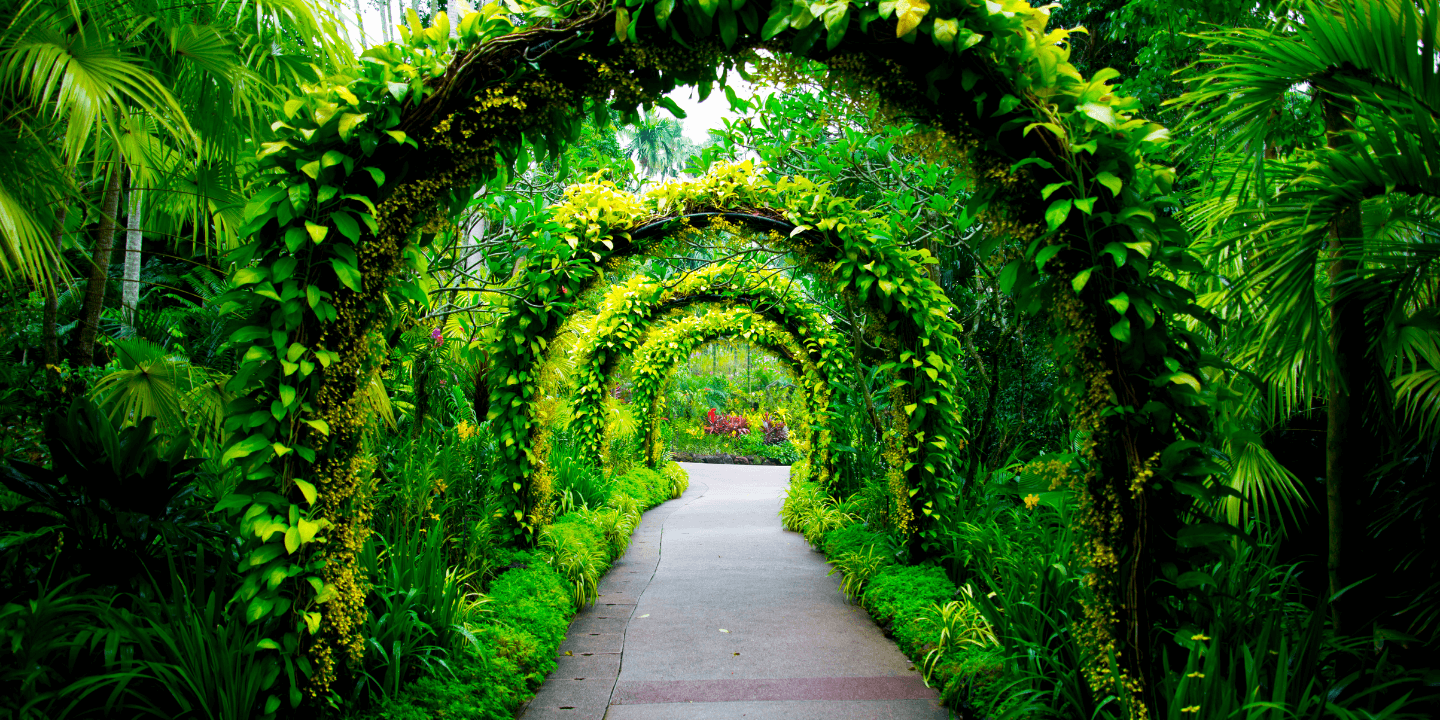 256.1.Botanical-garden
