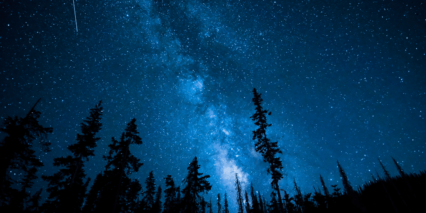204.1.Night-landscape