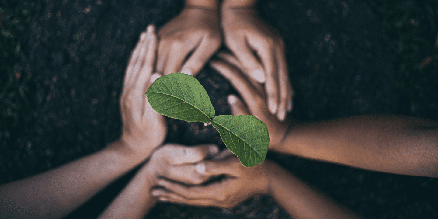 131.1.Sustainability