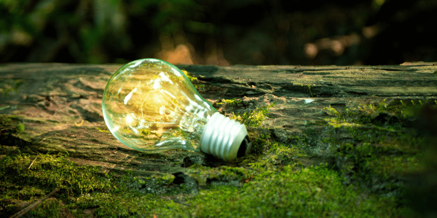 161.1.Sustainability