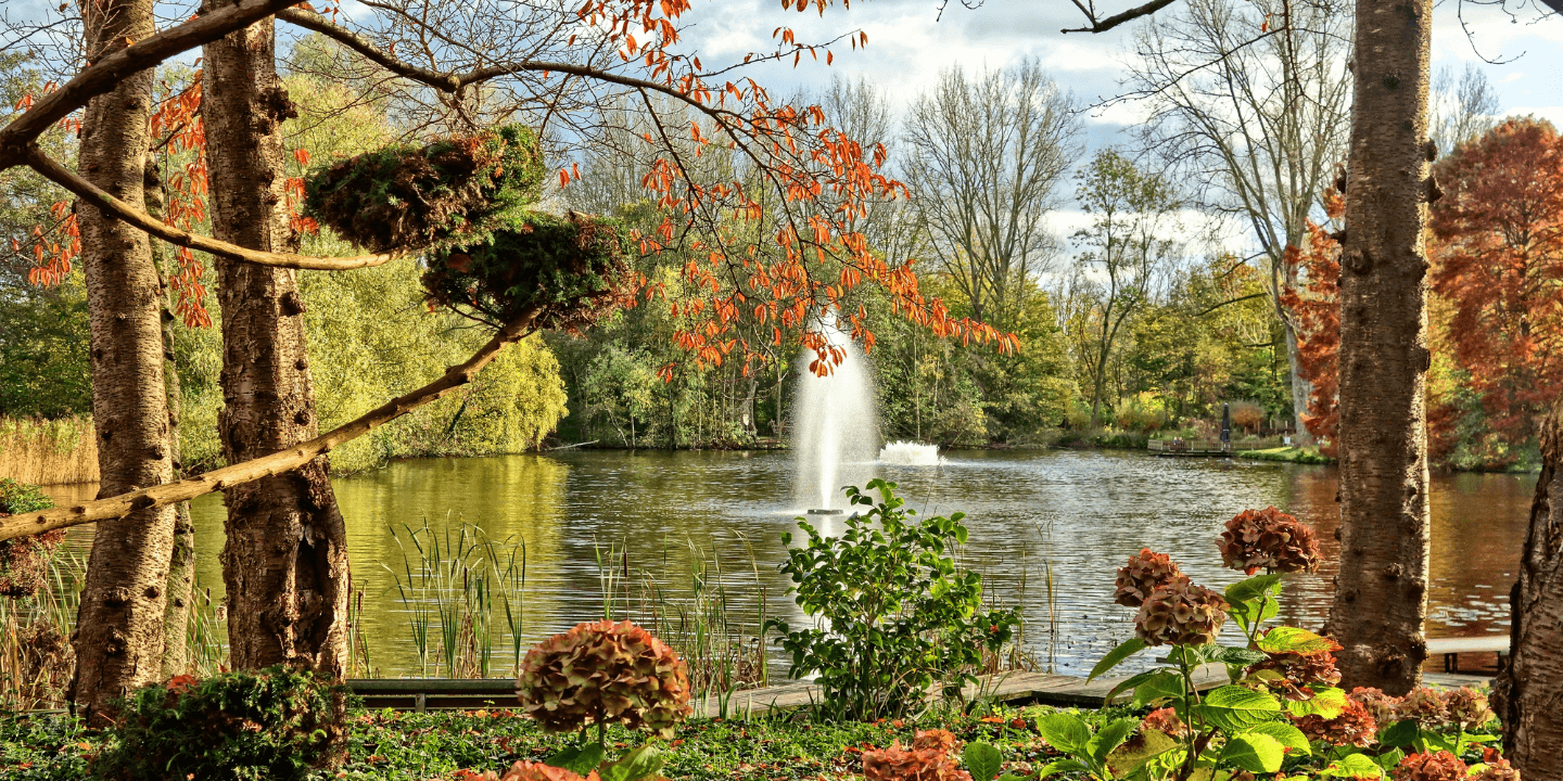 Fountain-Landscapes