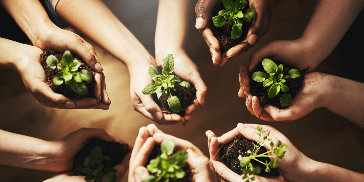 Sustainability