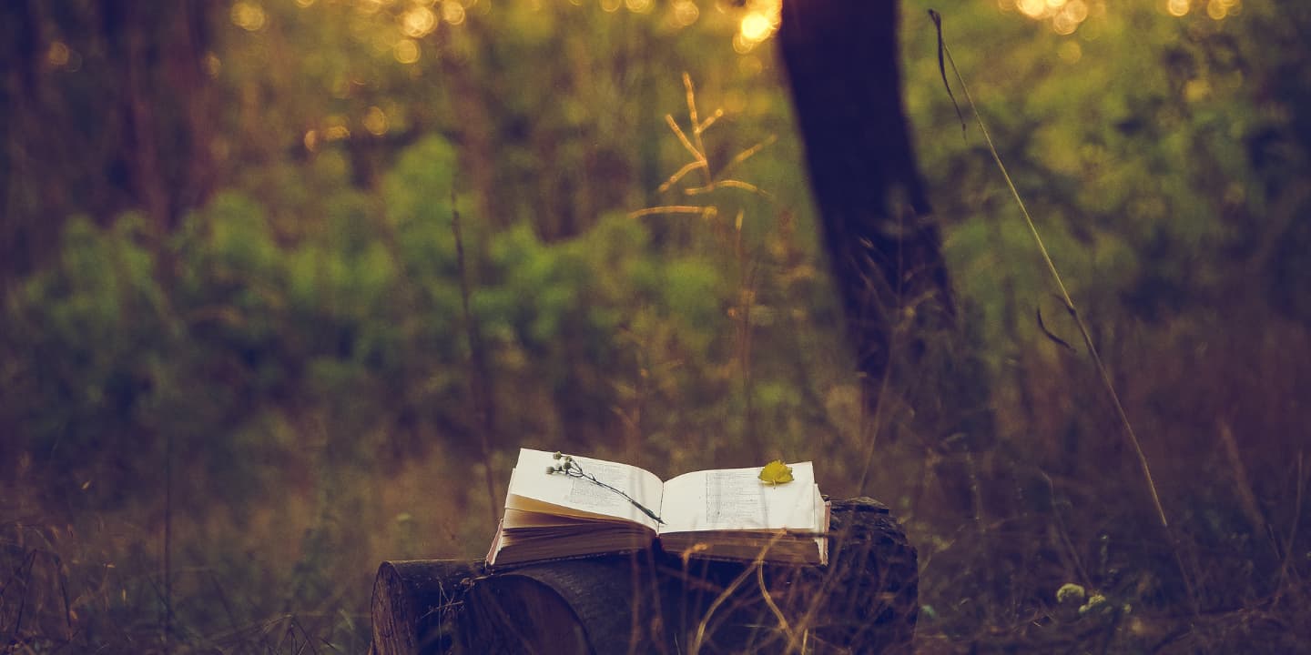 39.1.A book in the forest