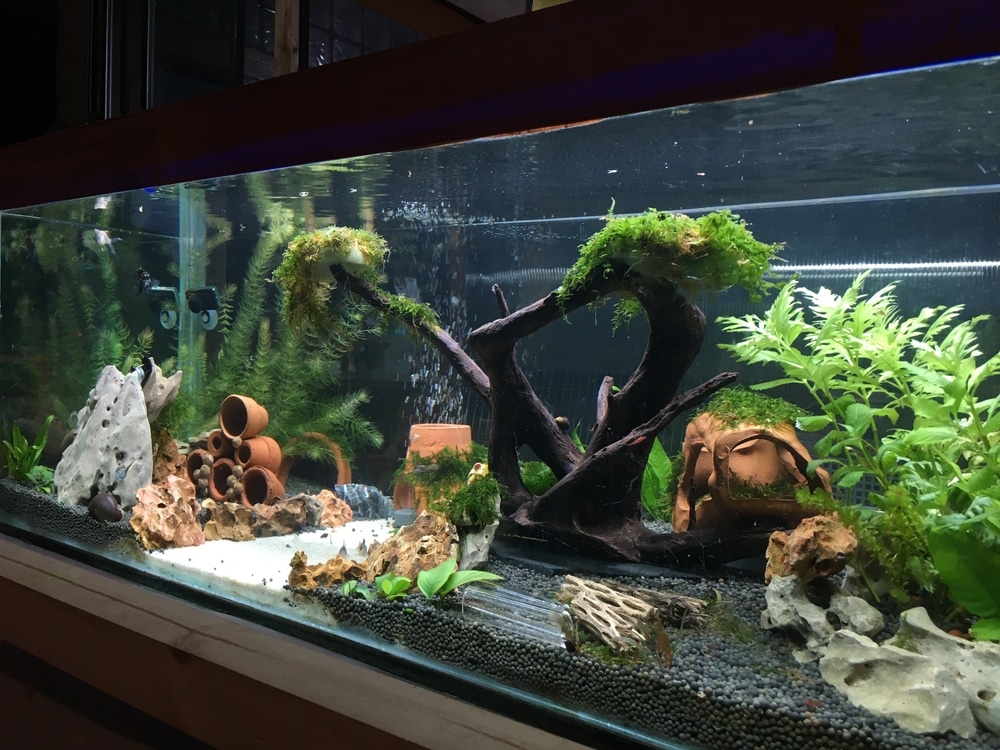 Innovative Acrylic Fountains and Fish Tanks