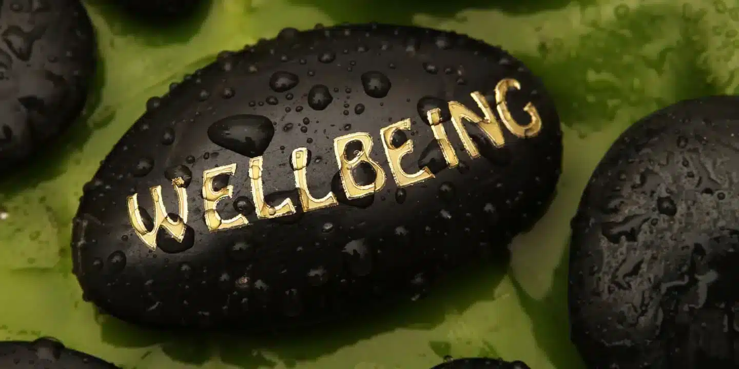 31.1.wellbeing stone water
